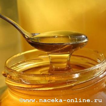 В Пермском университете исследовали клеверный мёд
