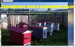 Пчёлы в украинских ульях