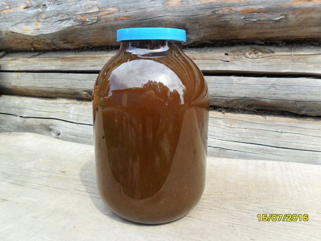 Сибирский мёд