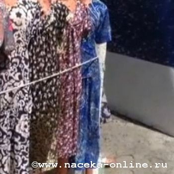 В Новороссийске пчелиный рой залетел в магазин одежды