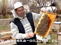 В Марий Эл прошла конференция пчеловодов «Современное пчеловодство: проблемы и перспективы развития»