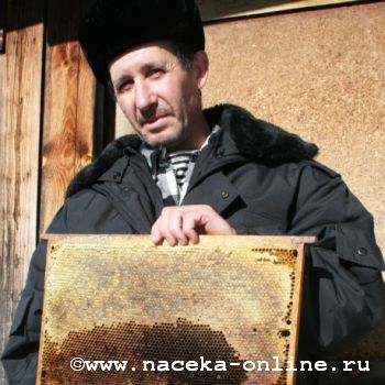 Живут в селе Маранка пчеловоды