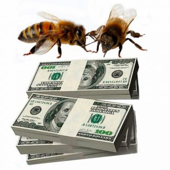 Пчеловодство это бизнес