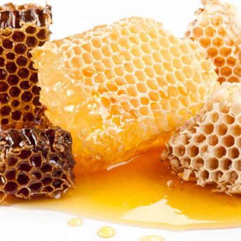 Сколько мёда собрано этим летом в Усолье