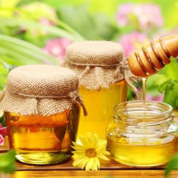 О полезных свойствах мёда