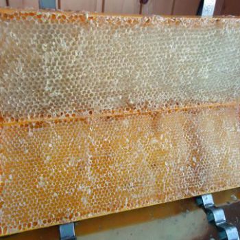 Биодинамическое пчеловодство