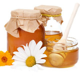 В Башкирии увеличат производство бортевого мёда