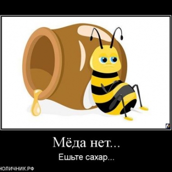 Будет ли во Пскове дефицит мёда?