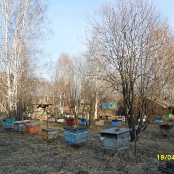 Пчеловодный сезон впереди