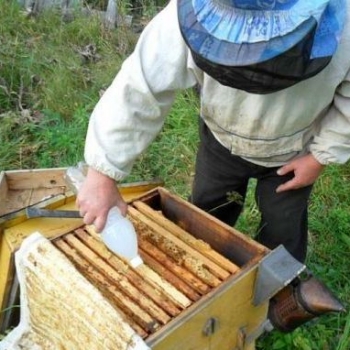 Обработка пчёл бипином