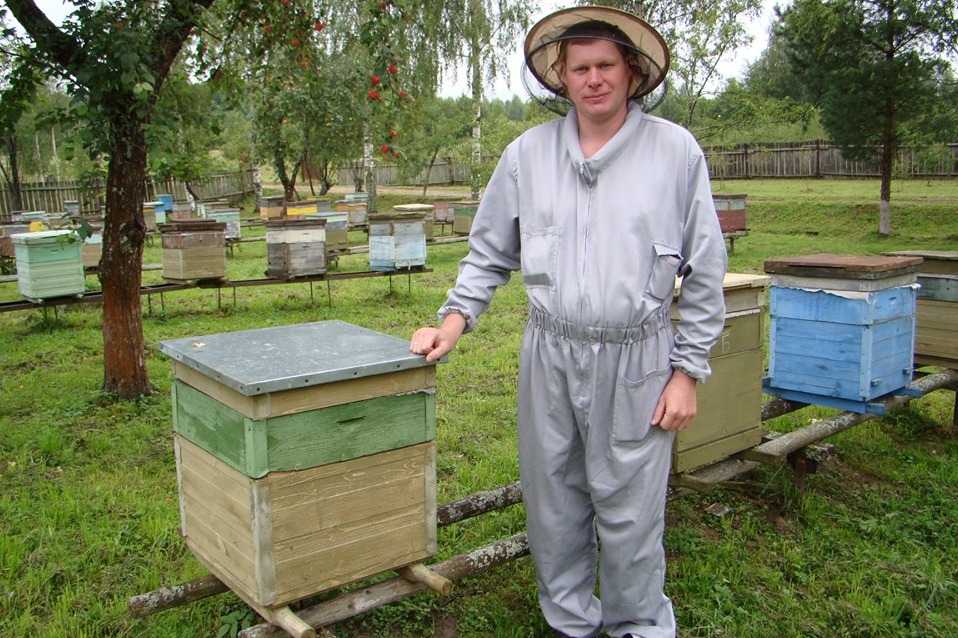 Ярославские власти решили развивать пчеловодство