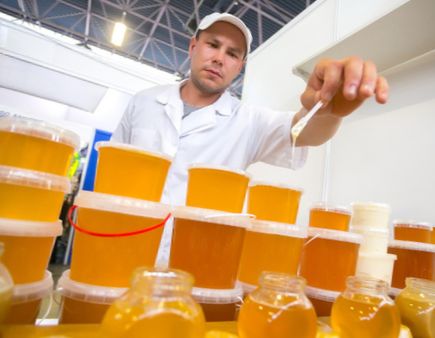 В закон "О пчеловодстве" внесли понятие натурального меда