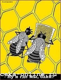 В Абакане ограничивают высоту полета пчел