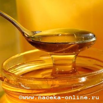 В Воронеже килограмм мёда на ярмарке можно купить за 125 рублей