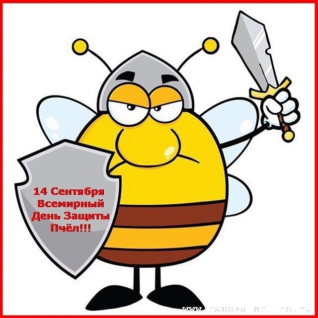 14 сентября всемирный день защиты пчёл!