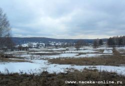 Окресности деревни,на запад тайга