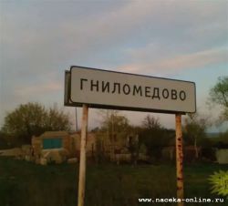 Деревня Гниломёдово