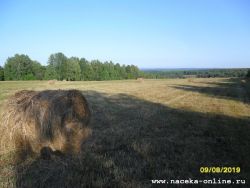 Покос...первый раз на моём пае