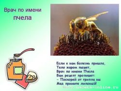 врач-пчела