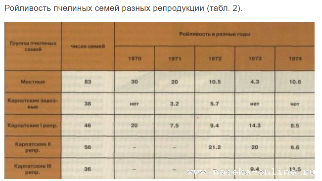 Сравнение пчел среднерусской и других пород в условиях Сибири