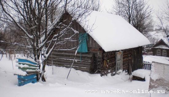 Зимний уход за пчелами