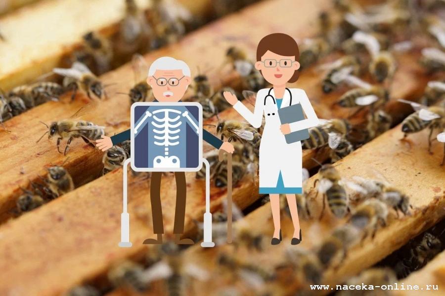 Аспергиллёз опасен для пчеловода