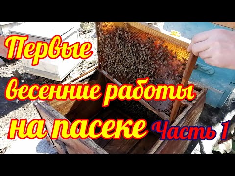 Первые весенние работы на пасеке 28 марта 2020 г./ Пчеловодство на Урале