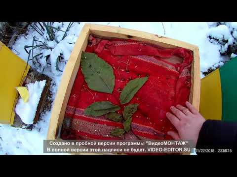 Зимняя подкормка пчел канди 26.01.2018