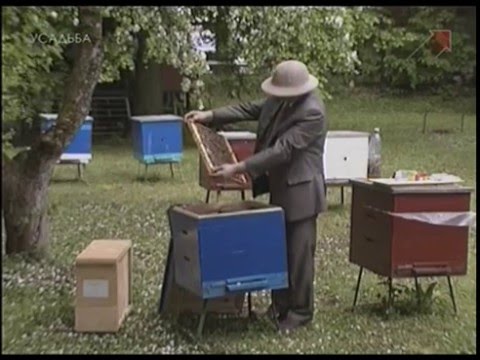 2. Уроки по пчеловодству / Пасека - конец весны, начало лета