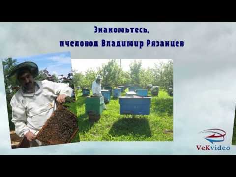 Пчёлы и продукция пчеловодства