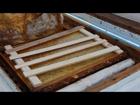 Зимняя подкормка пчел | Рамка сверху | Состояние зимнего клуба
