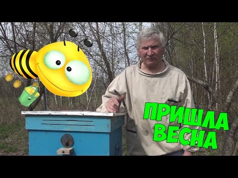 Весенние работы на пасеке (Українською)
