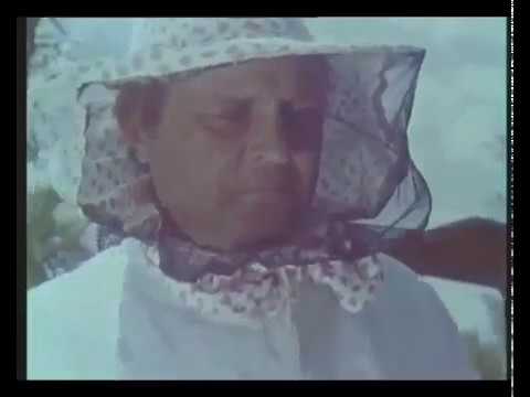 ПЧЕЛОВОДСТВО учебный кинокурс СССР 1969 г. СК